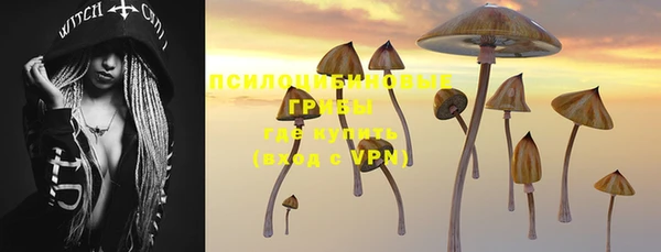 ПСИЛОЦИБИНОВЫЕ ГРИБЫ Армянск