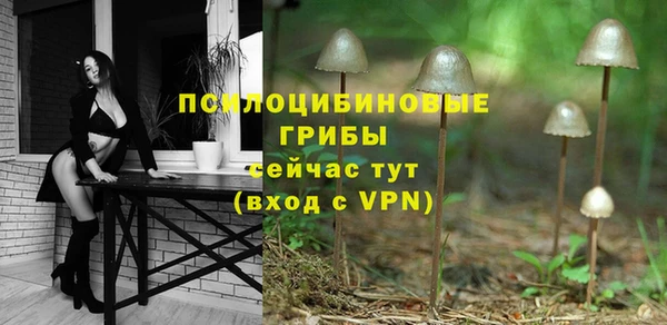 ПСИЛОЦИБИНОВЫЕ ГРИБЫ Армянск