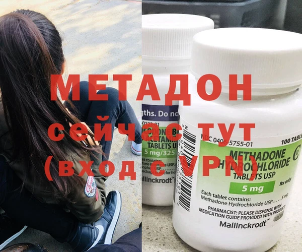 ГАЛЛЮЦИНОГЕННЫЕ ГРИБЫ Корсаков